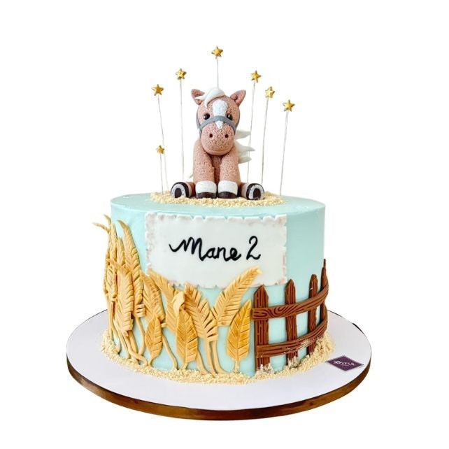 Horse \ Pony Cake